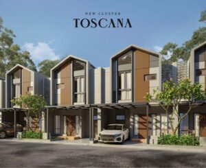 Read more about the article Cluster Toscana Type Viola 66/60